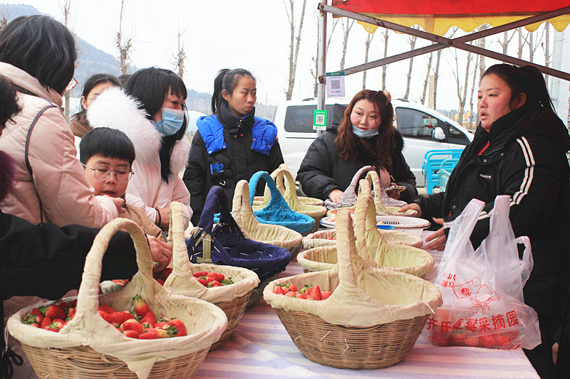 ��ݮ�h��c�´� | ���f�(zh��n)��ɽ�ڲ�ݮ��ժ��Ȥ���������w�e����ζ