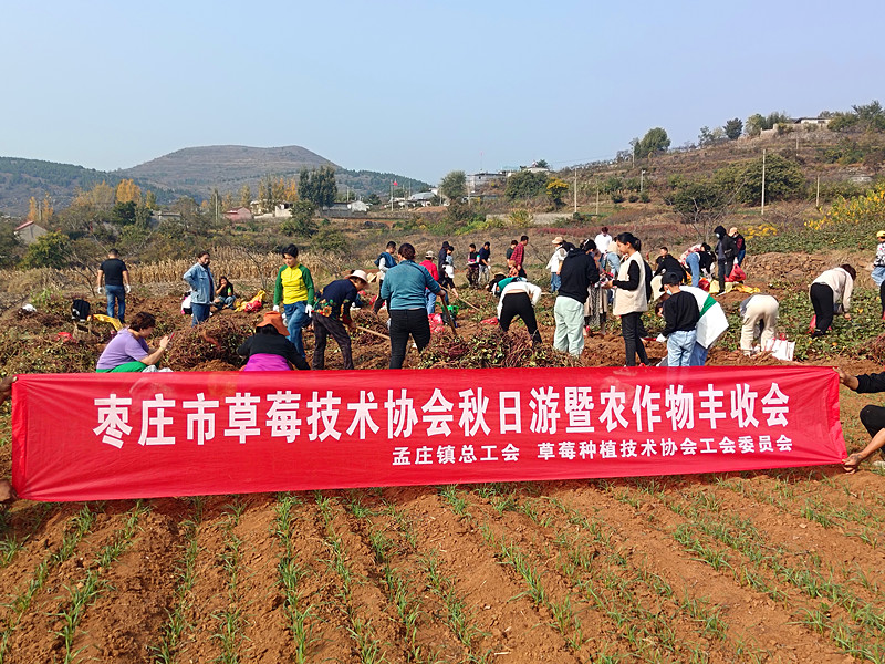 ���Ѕ^(q��)��ݮ�Nֲ���g�f���_չ��Ȥζ�ڼt�� �����l(xi��ng)�����d�����