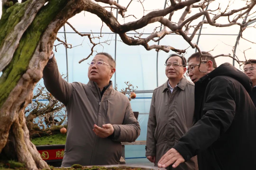 ���f��ί����ӛ������ί��ӛ����(gu��)�ށ�(l��i)�F�ǅ^(q��)�{(di��o)��ʯ��a(ch��n)�I(y��)�l(f��)չ����